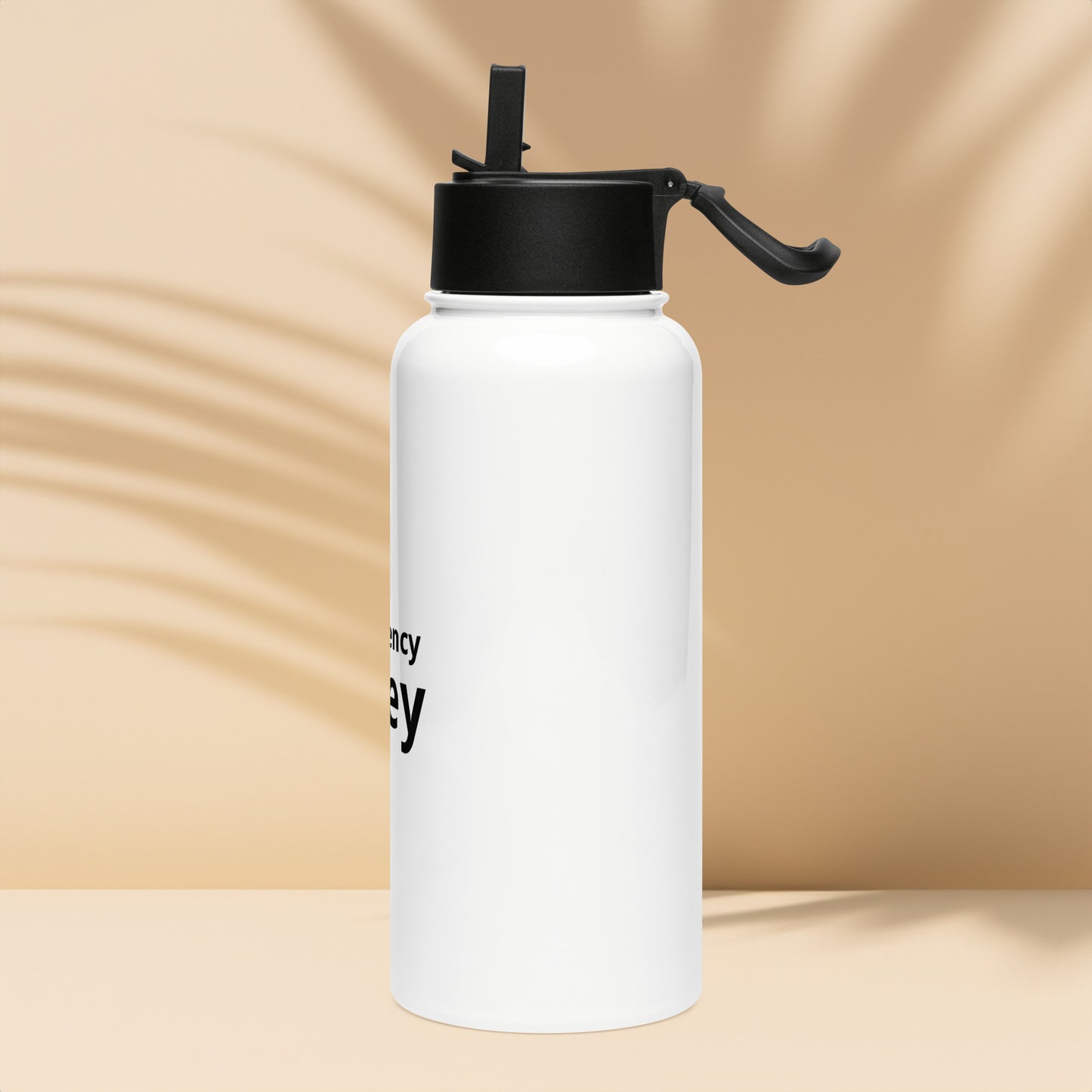 Stainless steel water bottle with a straw lid