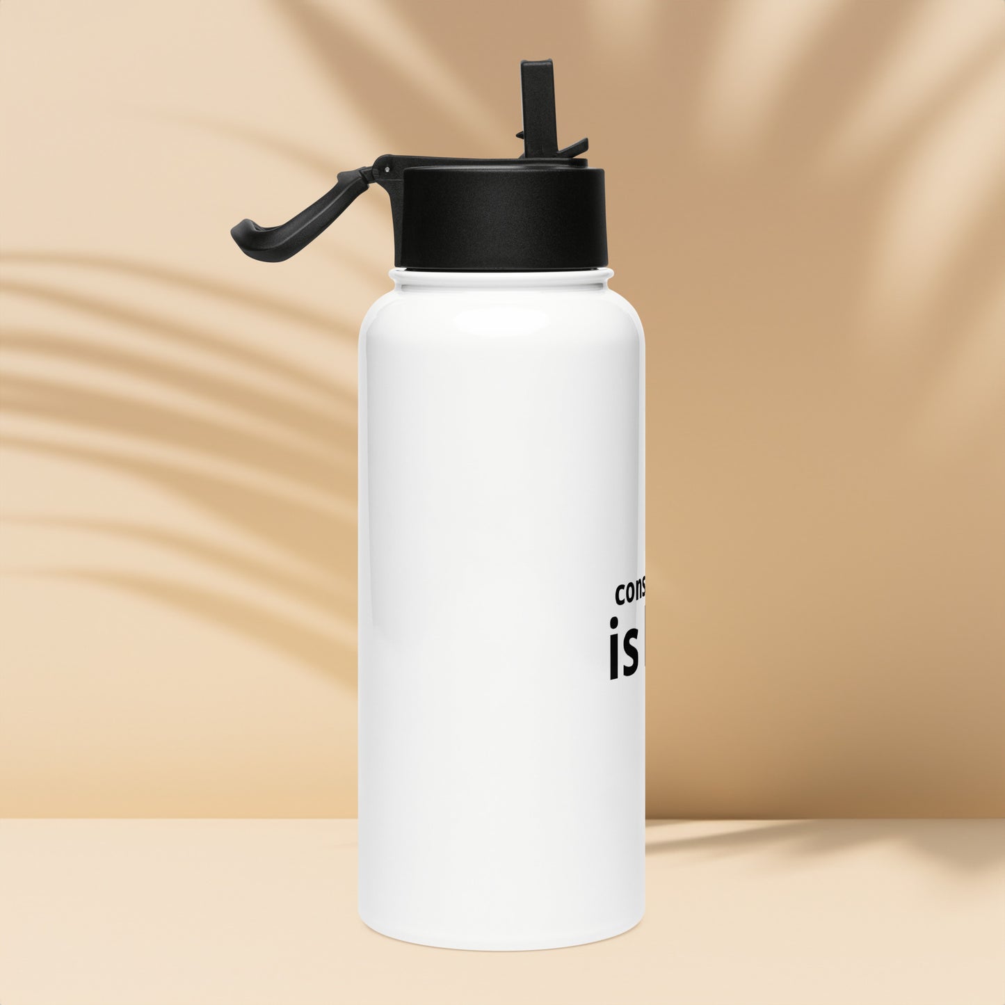 Stainless steel water bottle with a straw lid